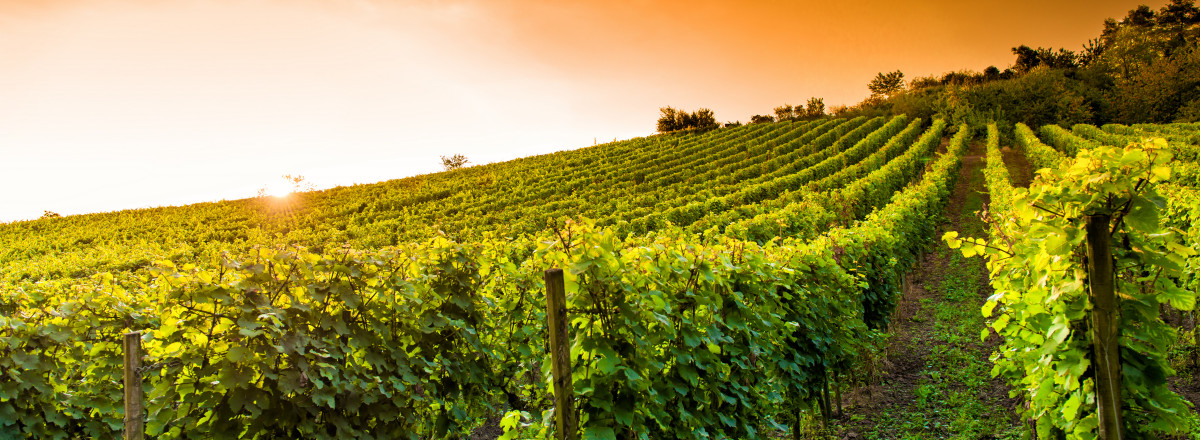 Immobilienbesichtigungen und Erstellung von Wertgutachten in Hessen