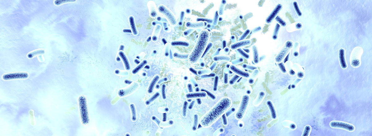 Legionellen im Trinkwasser durch Gutachter prüfen lassen